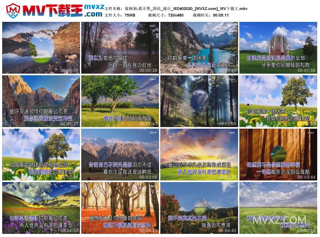 张师羽-我不哭_国语_流行_MD402020